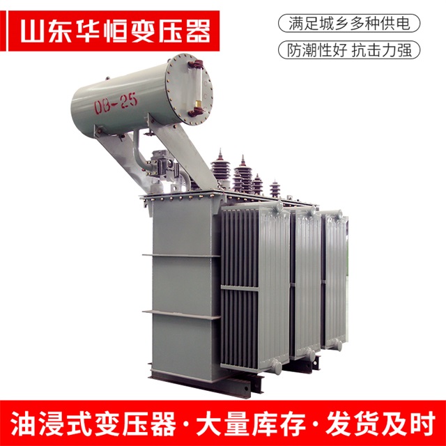 S11-10000/35洪湖洪湖洪湖电力变压器厂家