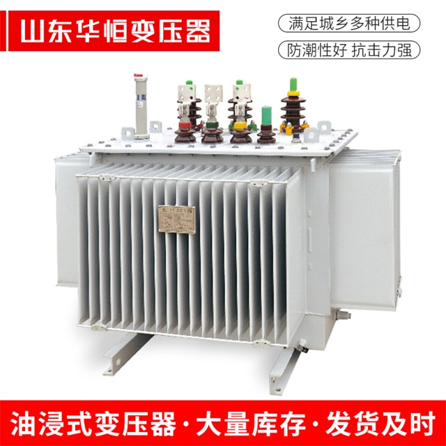 S13-10000/35洪湖洪湖洪湖电力变压器